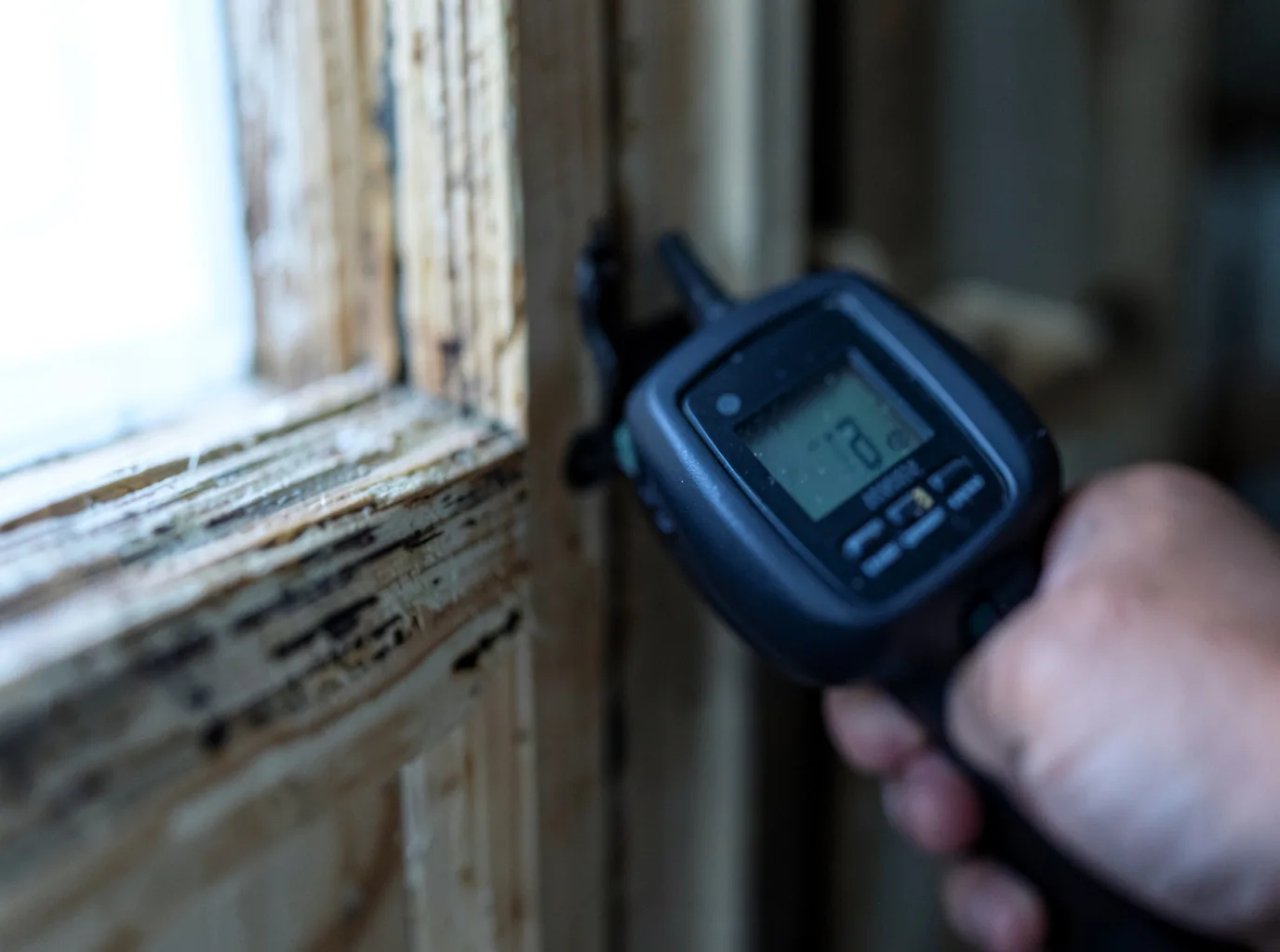 Moisture Inspection And Documentation in Hendricks, MN